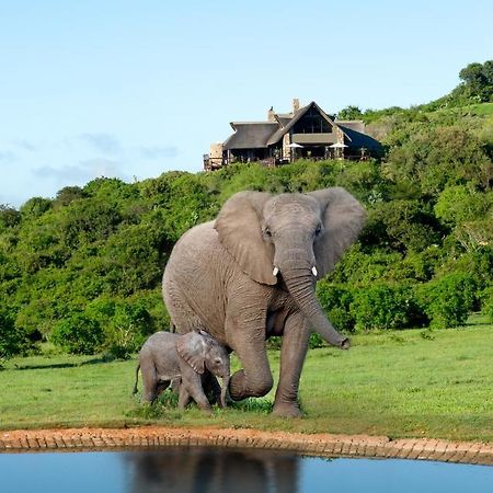 Hopewell Private Game Reserve Buyskloof 外观 照片