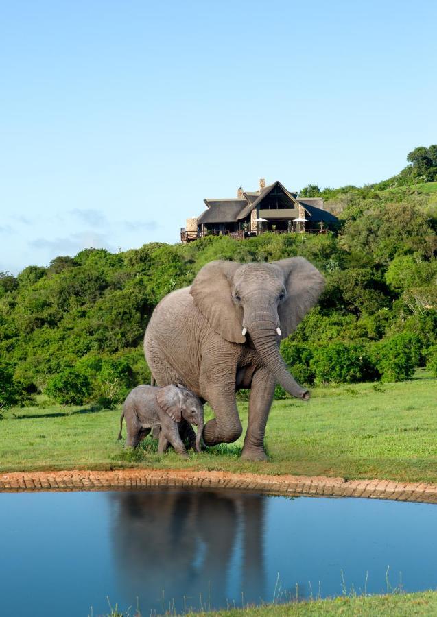 Hopewell Private Game Reserve Buyskloof 外观 照片