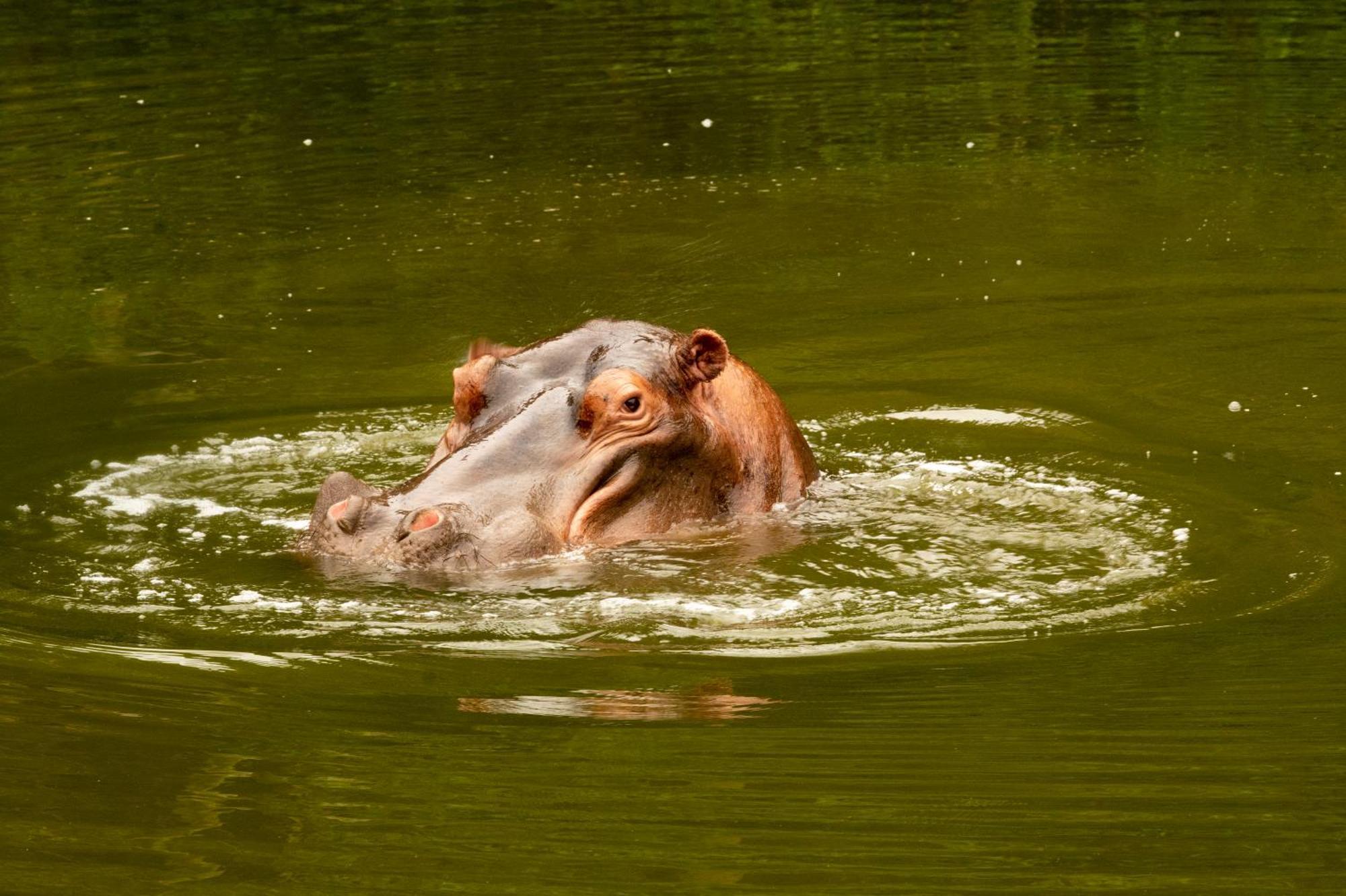 Hopewell Private Game Reserve Buyskloof 外观 照片