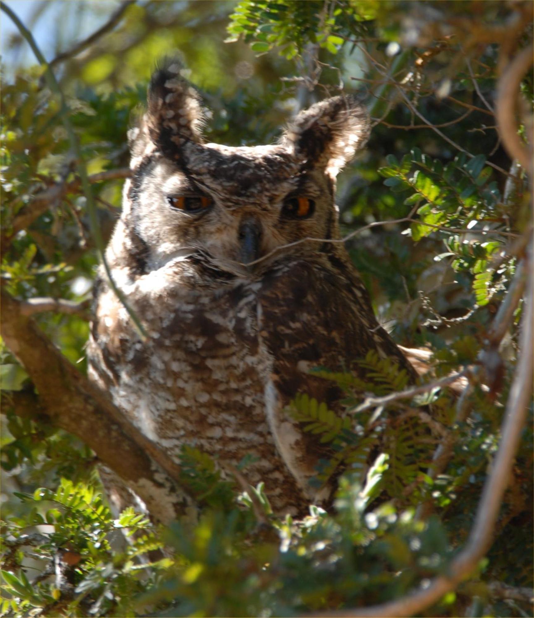 Hopewell Private Game Reserve Buyskloof 外观 照片