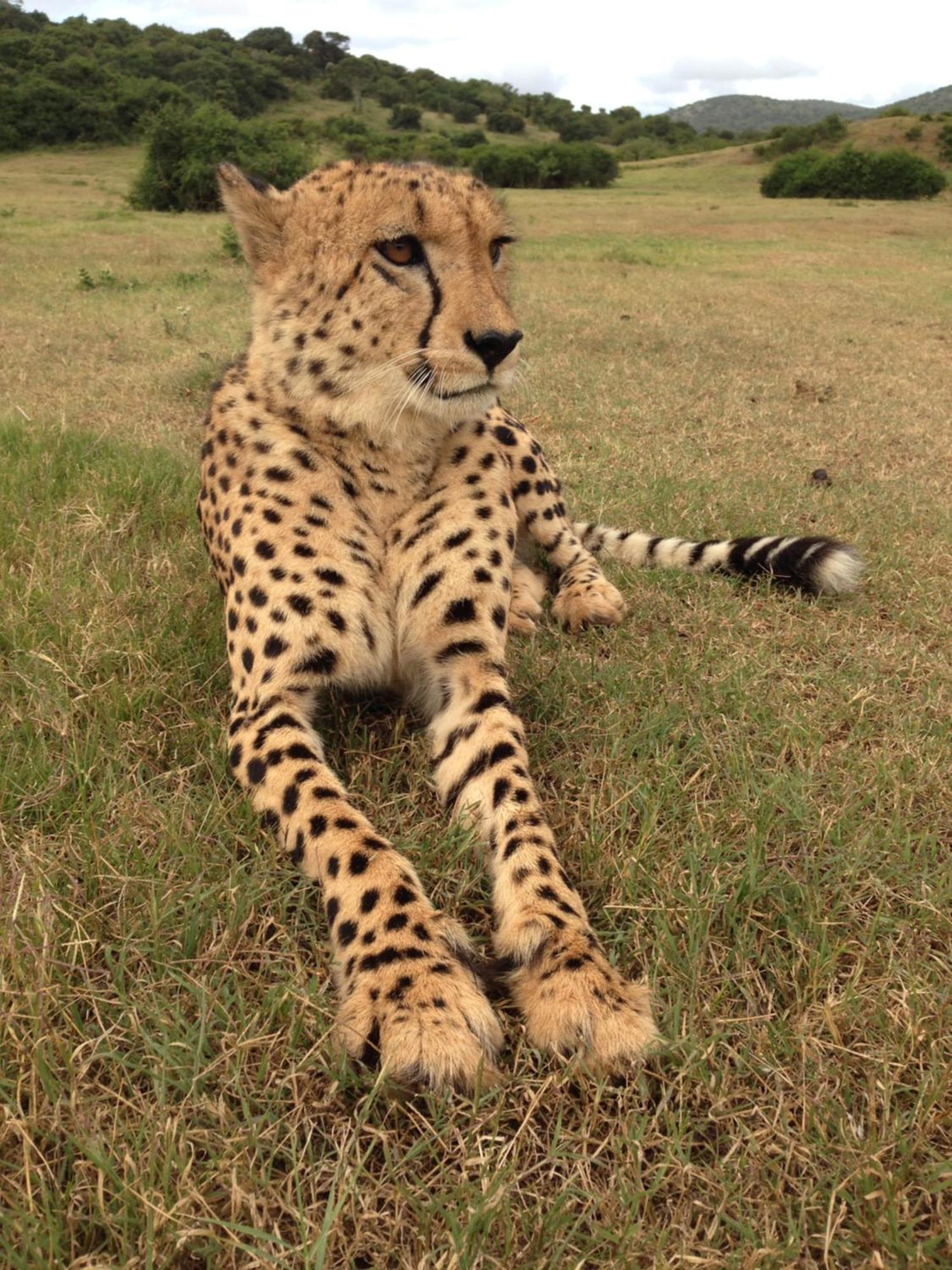 Hopewell Private Game Reserve Buyskloof 外观 照片