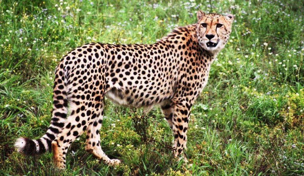 Hopewell Private Game Reserve Buyskloof 外观 照片