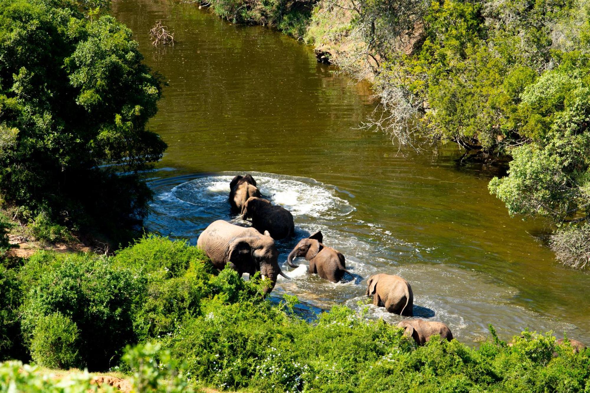 Hopewell Private Game Reserve Buyskloof 外观 照片